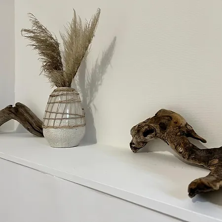 Cosy Centre-ville شقة روبيه